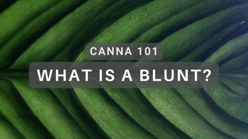 what-is-a-blunt-unwrapping-the-world-of-blunt-smoking-tightpac