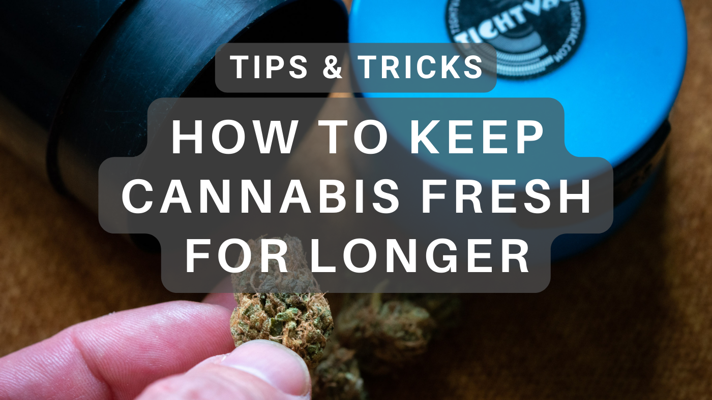 https://www.tightpac.com/cdn/shop/articles/keep-cannabis-fresh-for-longer_1400x.png?v=1690810875